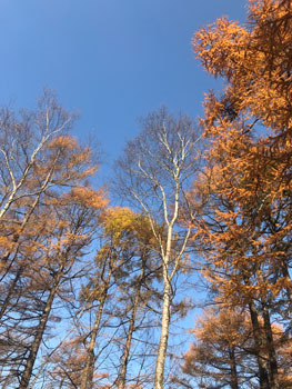17-11-6-3.jpg