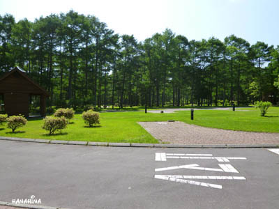 2013-6-30-2.jpg
